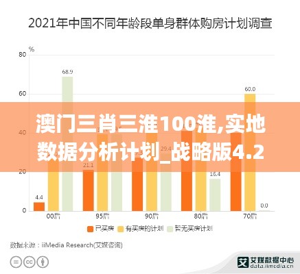 澳门三肖三淮100淮,实地数据分析计划_战略版4.265