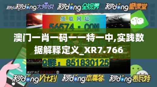 澳门一肖一码一一特一中,实践数据解释定义_XR7.766