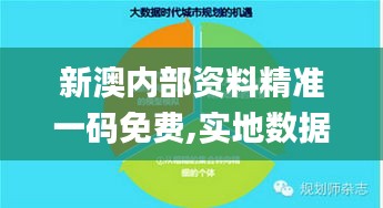 新澳内部资料精准一码免费,实地数据验证分析_挑战版3.183