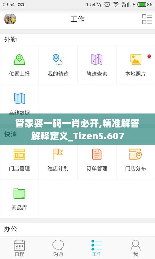 管家婆一码一肖必开,精准解答解释定义_Tizen5.607