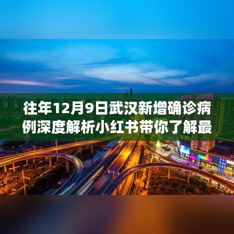 武汉新增确诊病例深度解析，小红书带你掌握最新动态