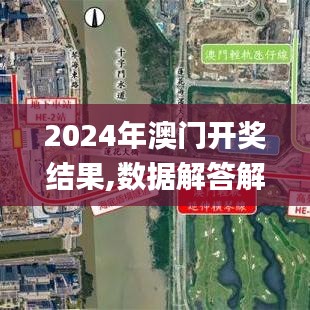 2024年澳门开奖结果,数据解答解释定义_移动版6.995