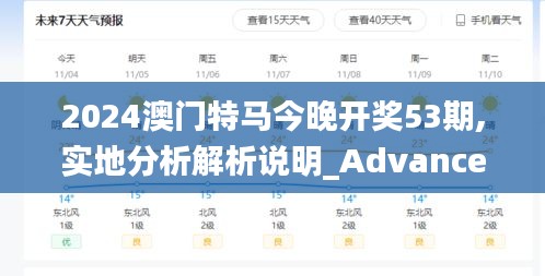 2024澳门特马今晚开奖53期,实地分析解析说明_Advance17.217