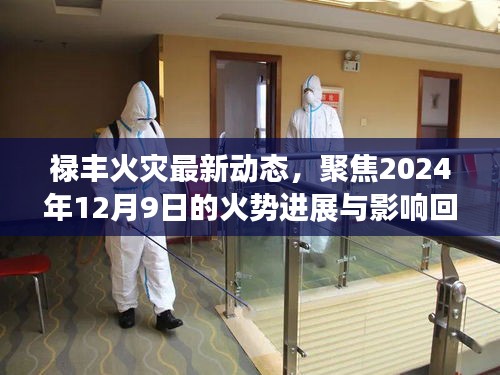 禄丰火灾最新动态，聚焦2024年12月9日的火势进展与影响回顾