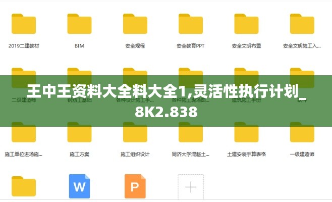 王中王资料大全料大全1,灵活性执行计划_8K2.838