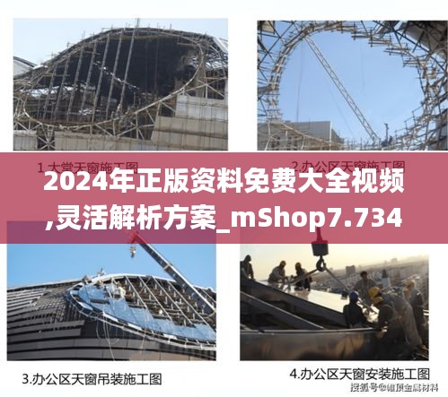 2024年正版资料免费大全视频,灵活解析方案_mShop7.734