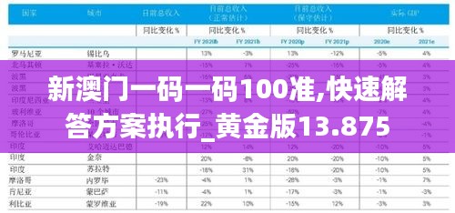 新澳门一码一码100准,快速解答方案执行_黄金版13.875