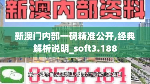 新澳门内部一码精准公开,经典解析说明_soft3.188