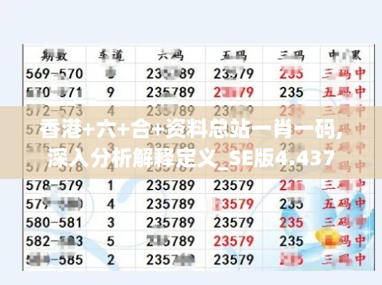 香港+六+合+资料总站一肖一码,深入分析解释定义_SE版4.437