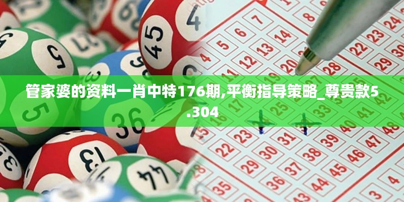 管家婆的资料一肖中特176期,平衡指导策略_尊贵款5.304