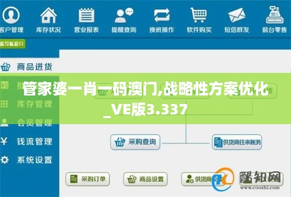 管家婆一肖一码澳门,战略性方案优化_VE版3.337