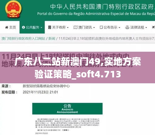 广东八二站新澳门49,实地方案验证策略_soft4.713