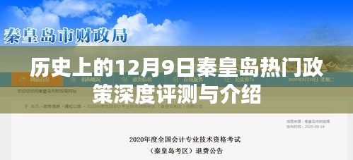 建议，历史上的秦皇岛热门政策深度评测与介绍——聚焦十二月九日