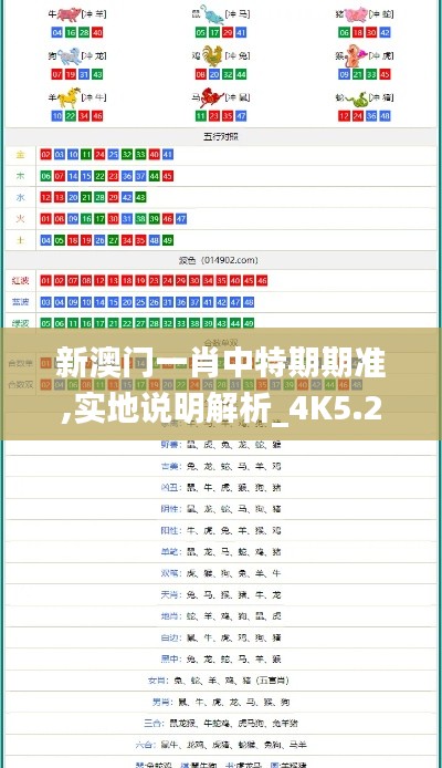 新澳门一肖中特期期准,实地说明解析_4K5.266