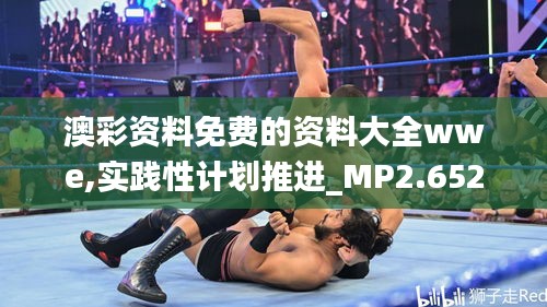 澳彩资料免费的资料大全wwe,实践性计划推进_MP2.652