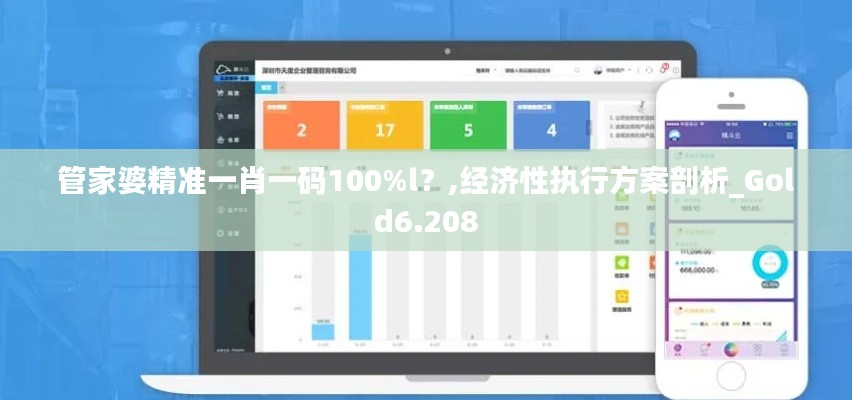 管家婆精准一肖一码100%l？,经济性执行方案剖析_Gold6.208