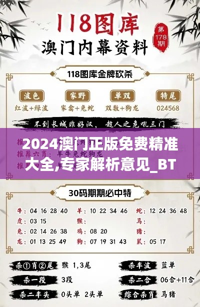 2024澳门正版免费精准大全,专家解析意见_BT5.810