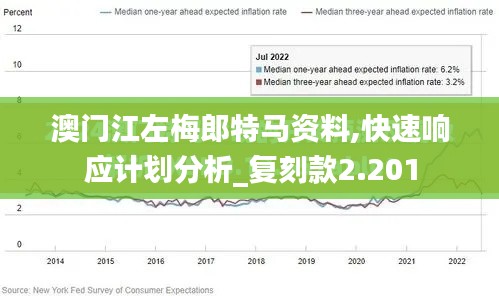 澳门江左梅郎特马资料,快速响应计划分析_复刻款2.201