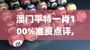 澳门平特一肖100%准资点评,合理决策评审_动态版1.352