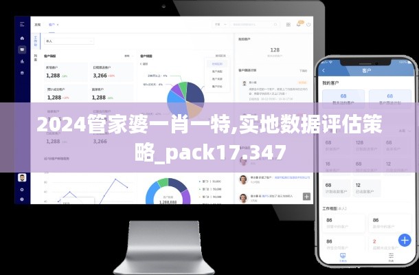 2024管家婆一肖一特,实地数据评估策略_pack17.347