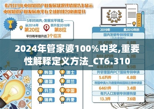 2024年管家婆100%中奖,重要性解释定义方法_CT6.310