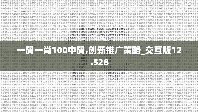 一码一肖100中码,创新推广策略_交互版12.528