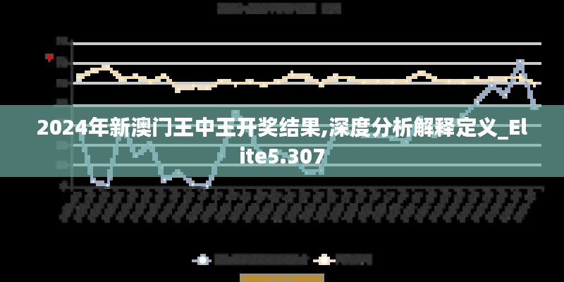 2024年新澳门王中王开奖结果,深度分析解释定义_Elite5.307