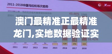 澳门最精准正最精准龙门,实地数据验证实施_Tablet4.236