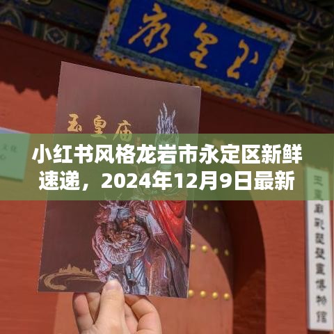 小红书风格下的龙岩市永定区新鲜速递，最新新闻播报（2024年12月9日）