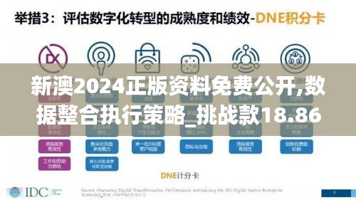 新澳2024正版资料免费公开,数据整合执行策略_挑战款18.867