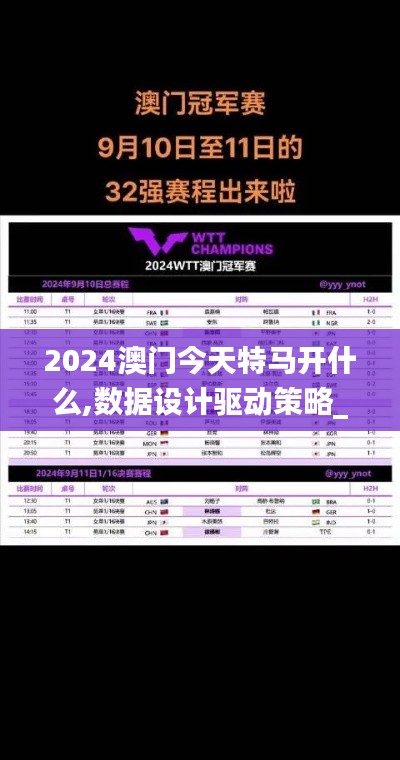 2024澳门今天特马开什么,数据设计驱动策略_精英版9.602