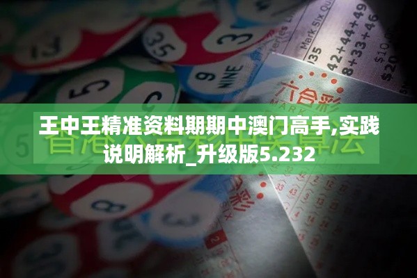 王中王精准资料期期中澳门高手,实践说明解析_升级版5.232