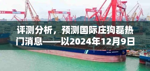 国际庄狗磊最新热门消息深度评测与预测，以时间节点2024年12月9日分析