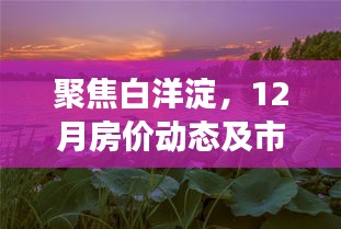 白洋淀12月房价动态与市场洞察