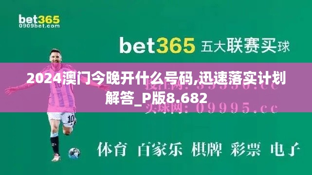 2024澳门今晚开什么号码,迅速落实计划解答_P版8.682