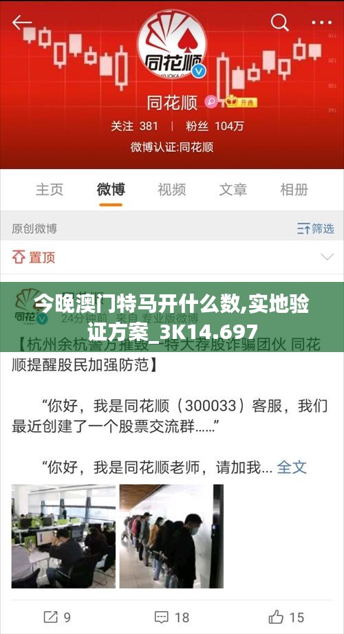 今晚澳门特马开什么数,实地验证方案_3K14.697