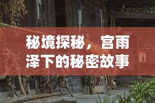 秘境探秘，宫雨泽深处的秘密故事——小巷深处的独特小店揭秘