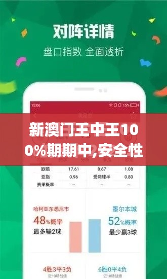 新澳门王中王100%期期中,安全性方案解析_限量款9.597