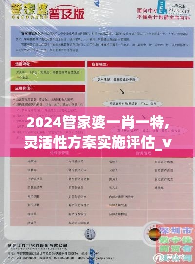 2024管家婆一肖一特,灵活性方案实施评估_vShop8.998