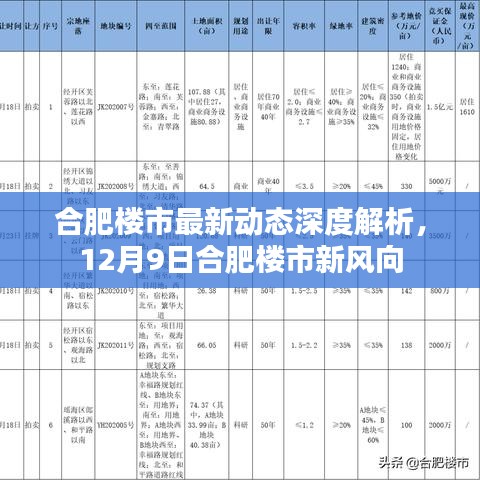 合肥楼市最新动态深度解析，揭秘12月9日新风向