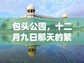 包头公园十二月九日盛景及其深远影响