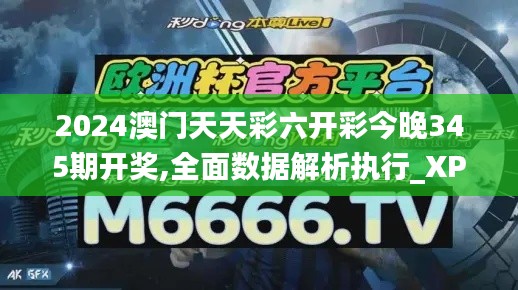 2024澳门天天彩六开彩今晚345期开奖,全面数据解析执行_XP9.378