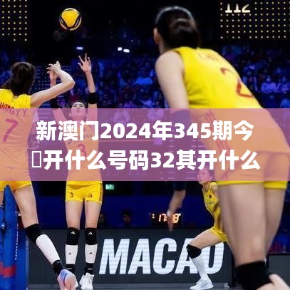 新澳门2024年345期今睌开什么号码32其开什么,未来解答解释定义_策略版8.201