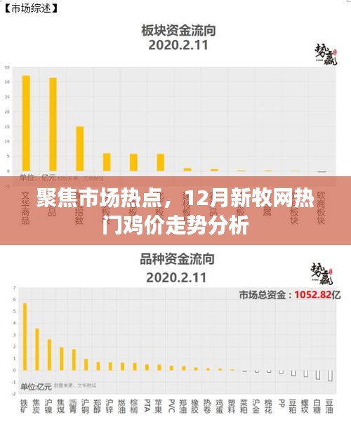 12月新牧网热门鸡价走势深度解析，市场热点聚焦