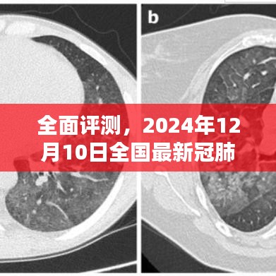 全面评测，最新冠肺产品介绍与深度使用体验（2024年12月10日）