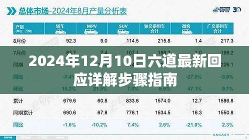 最新回应详解步骤指南，六道在行动中的更新与解读（2024年12月10日）