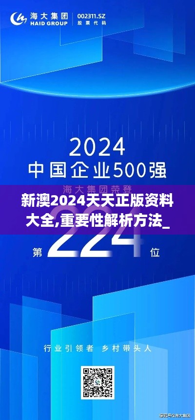 新澳2024天天正版资料大全,重要性解析方法_XR10.224