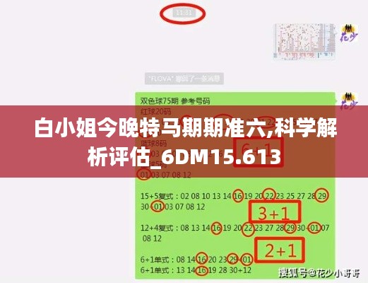 白小姐今晚特马期期准六,科学解析评估_6DM15.613