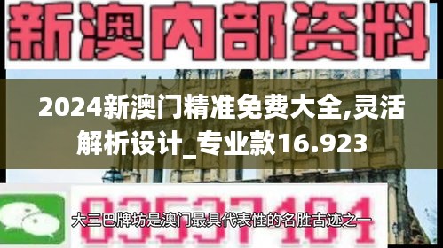 2024新澳门精准免费大全,灵活解析设计_专业款16.923